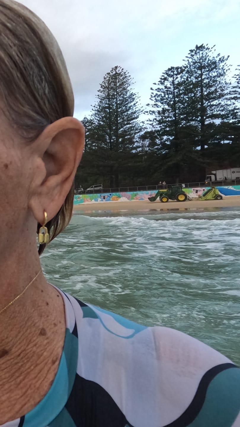 Customer photo review of Padlock Initial Letter Earrings