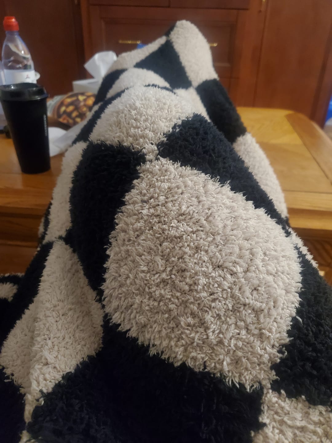 Customer photo review of Tap Shoe & Rainy Day Wavy Checker Print Extended Throw