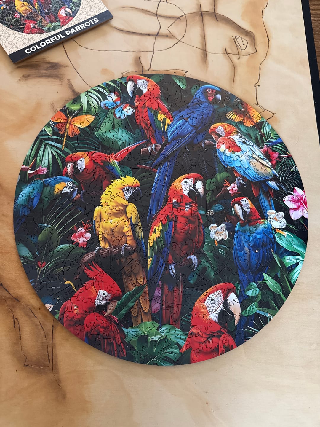 Customer photo review of Colorful Parrots - Wooden Puzzle
