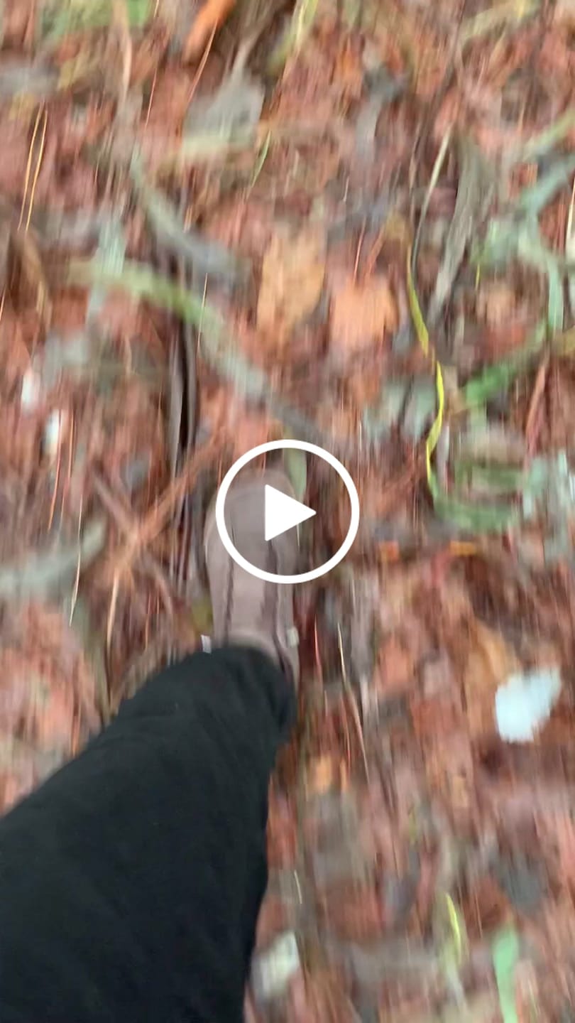 Customer video review of Ash - Zapatos Barefoot De Invierno