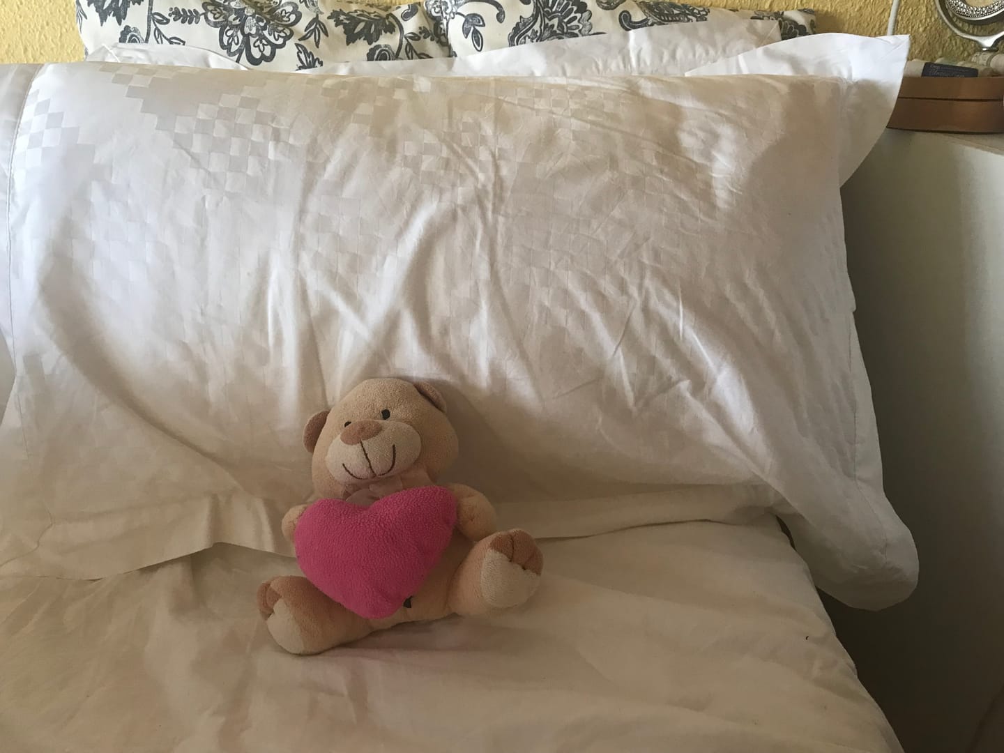 Customer photo review of Luxury Down Surround Sleeping Pillow Set