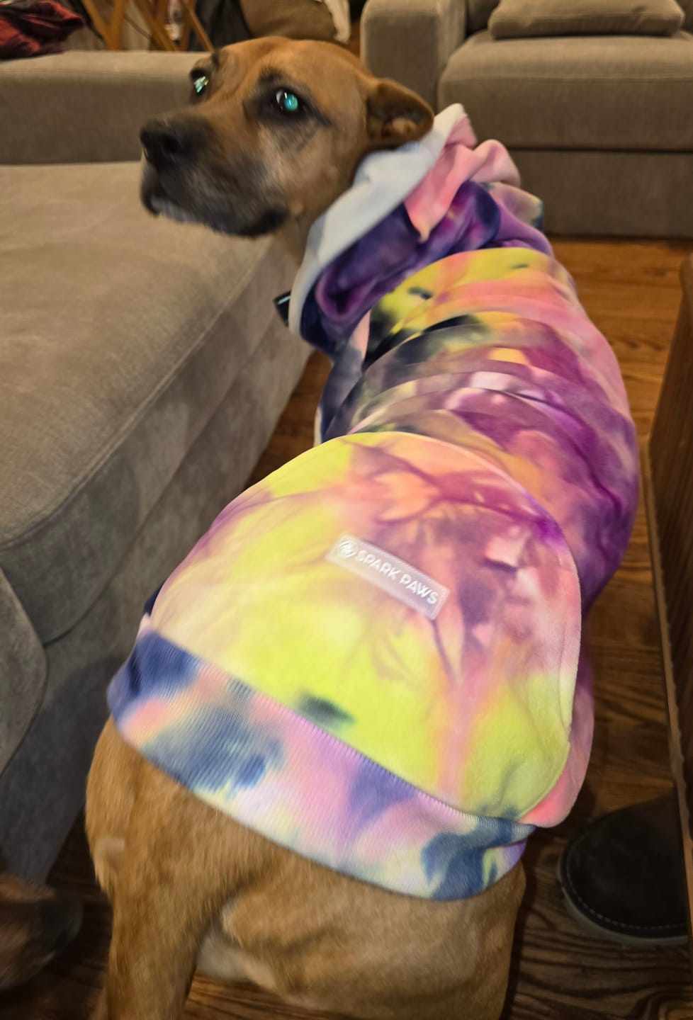 Customer photo review of Velvet Dog Hoodie - Berry Lemonade