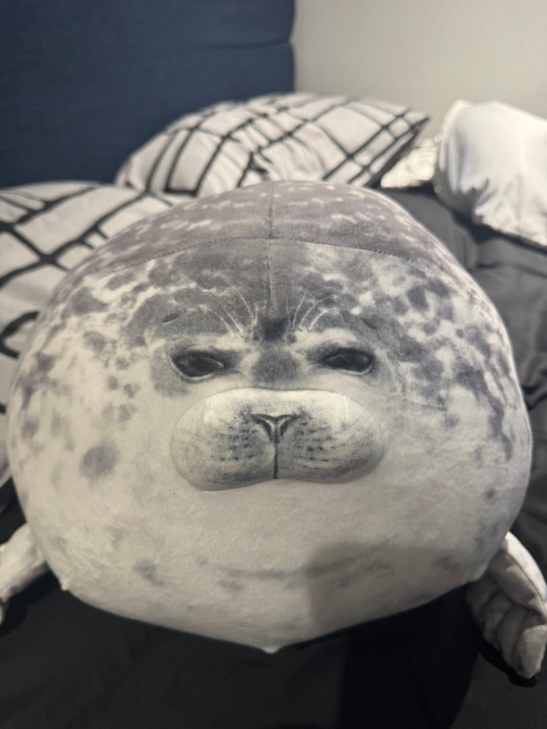 Customer photo review of Seal Soft Stuffed Plush Throw Pillow Cushion Toy