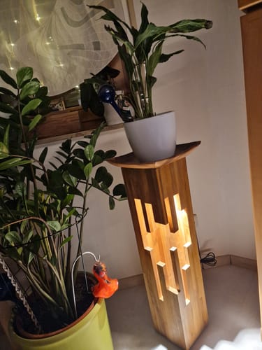 Kundenfoto der beleuchteten STALAKTIT Holz Säule, die in einem Wohnzimmer als eleganter Pflanzenständer dient.