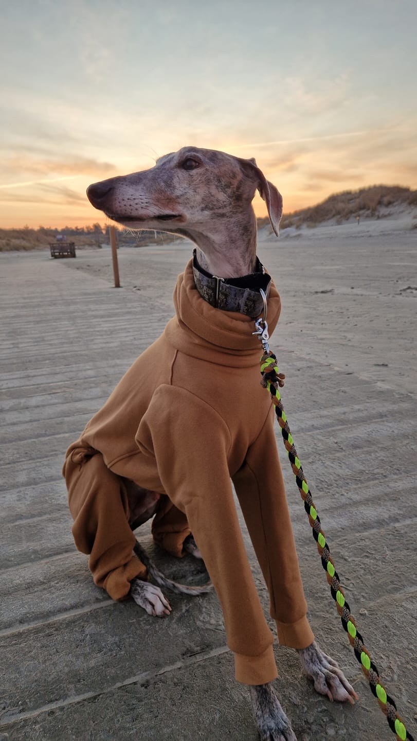 Customer photo review of Nuuk "Camel"