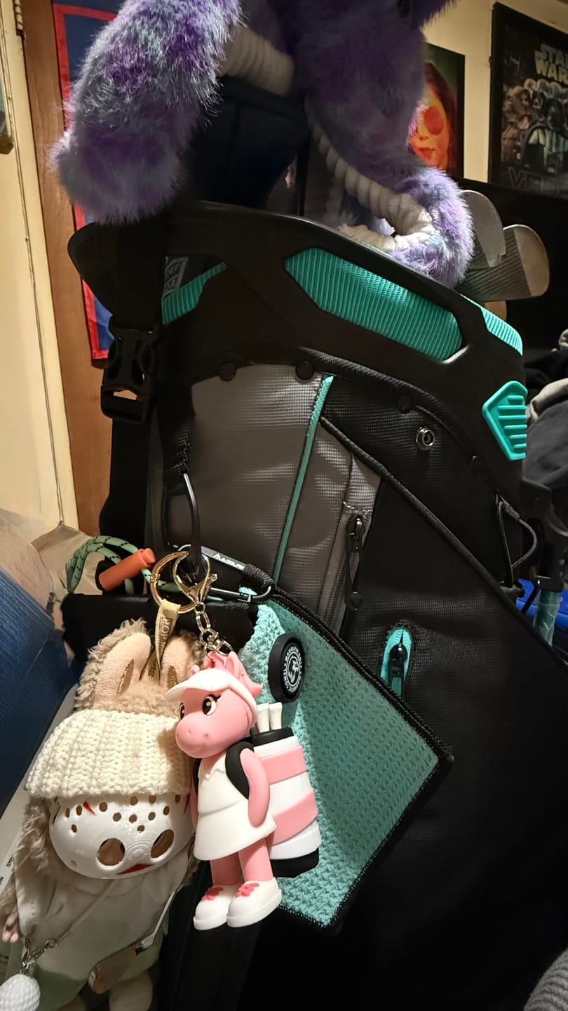 Customer photo review of Pink Pony Caddy