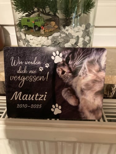 Customer photo review of Katzen Gedenktafel mit Foto & Spruch (UV- & Wetterfest)
