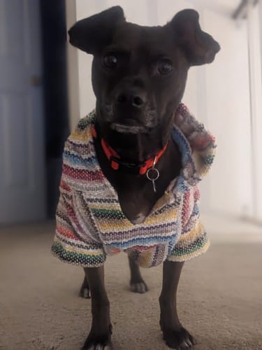 Customer photo review of Playa Poncho – Mystery Color (Bella, Charlie, or Fun Edition)