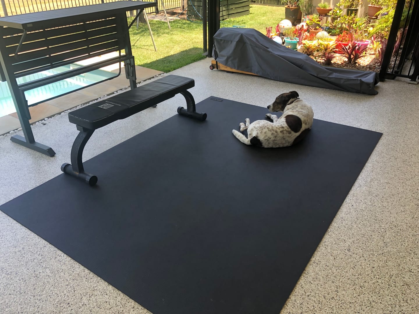 Customer photo review of Miramat® Giga - 244cm x 183cm - Ultra Large Exercise Mat - Sold Out