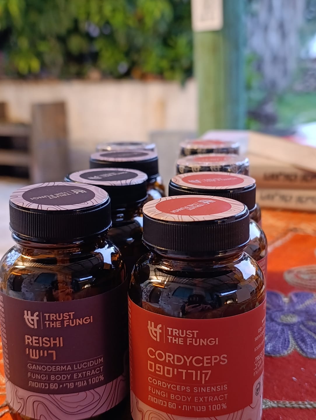 Customer photo review of כמוסות פטריית קורדיספס Cordyceps מיצוי 100% פטריות בשיטת FBE