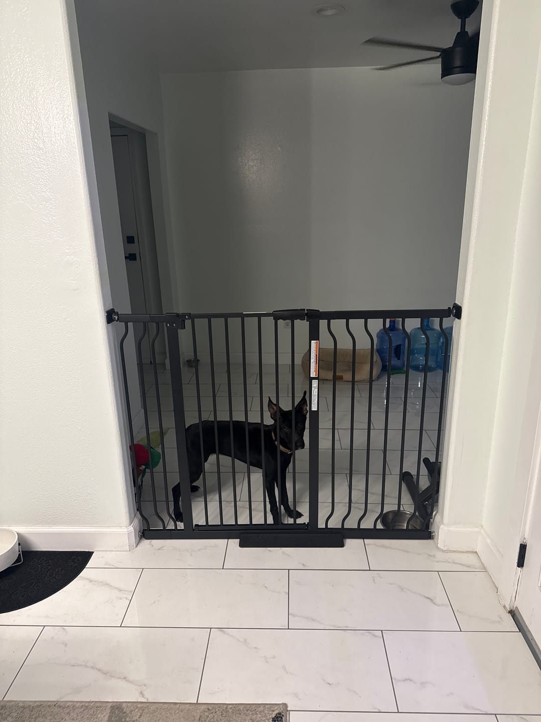 Customer photo review of FairyBaby 40" Extra Tall Auto Close Big Dog Gate