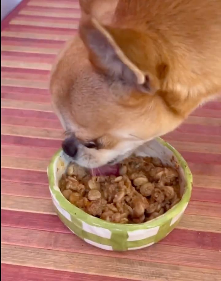 Customer photo review of The Good Boy