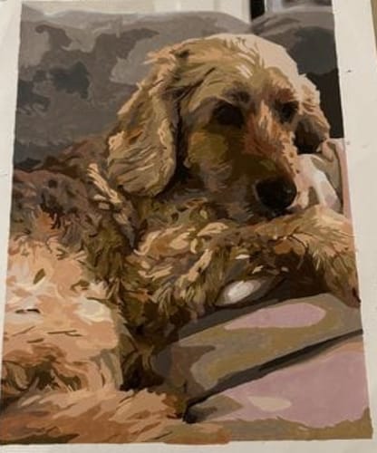 Customer photo review of Custom Pet Paint By Numbers