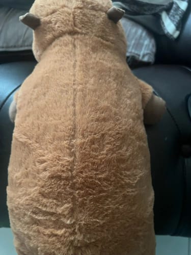 Customer photo review of Long Sleepy Capybara Plush Pillow