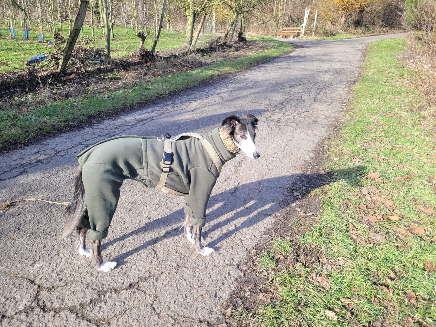 Customer photo review of Nuuk "Mountain Green"