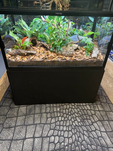 Customer photo review of 120 Gallon Bearded Dragon Enclosure 4x2x2