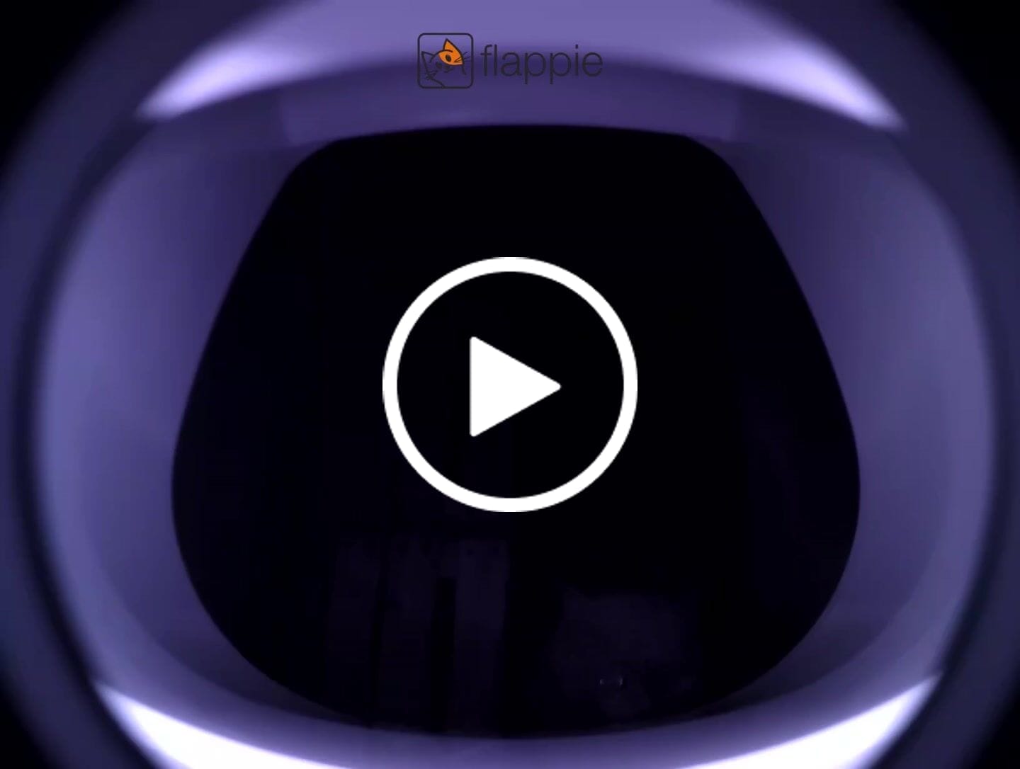 Customer video review of Flappie®
