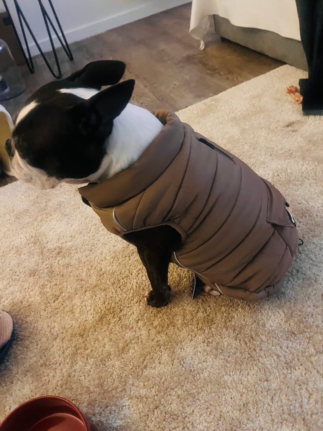 Customer photo review of WarmShield Water-Resistant Jacket - Tan