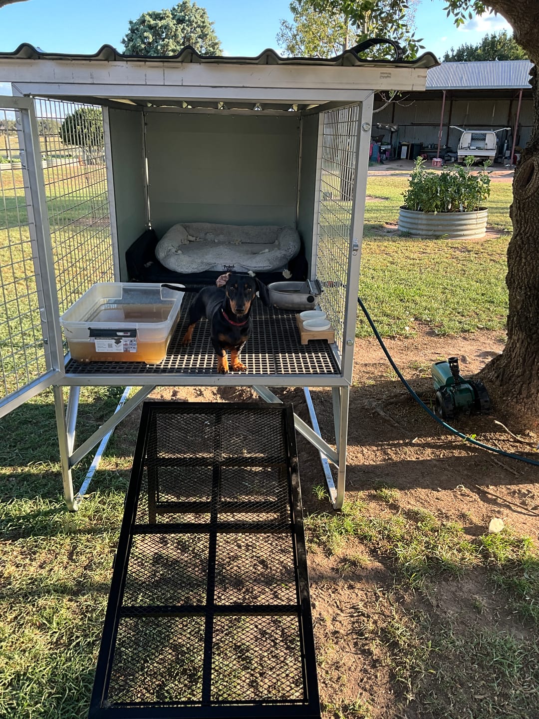 Customer photo review of Raised Safety Kennel