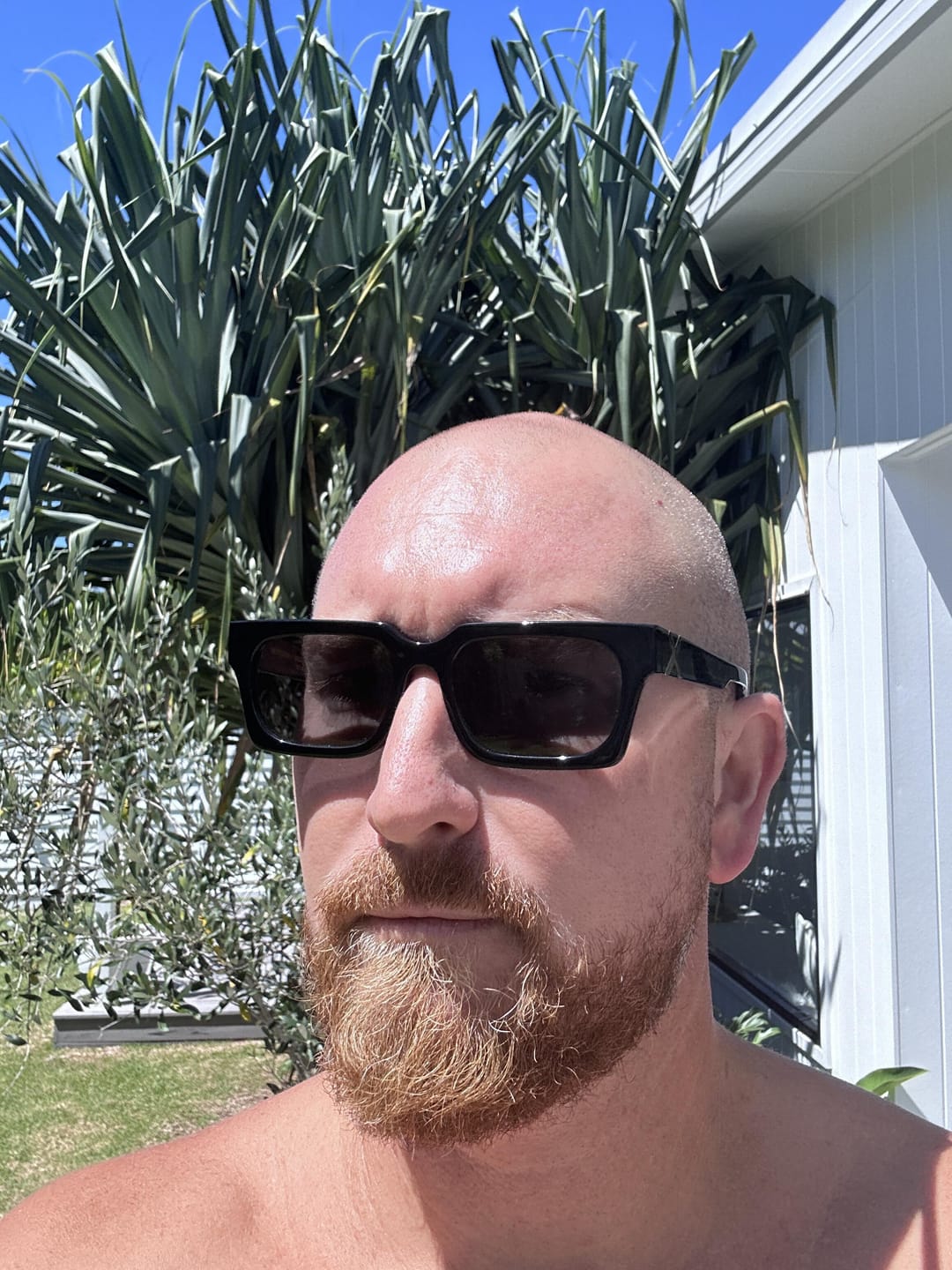 Customer photo review of AMBASSADOR/ GLOSS BLACK