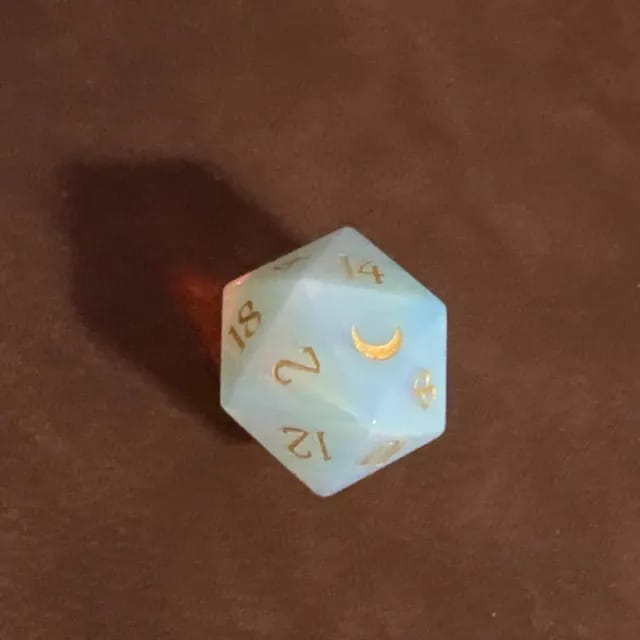 Customer photo review of Single d20