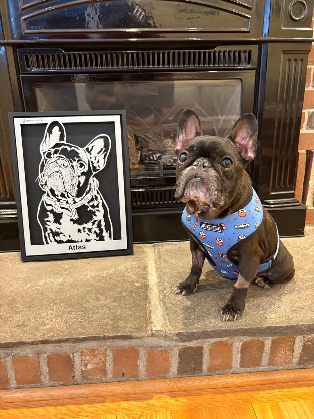Customer photo review of Custom Pet Metal Portrait