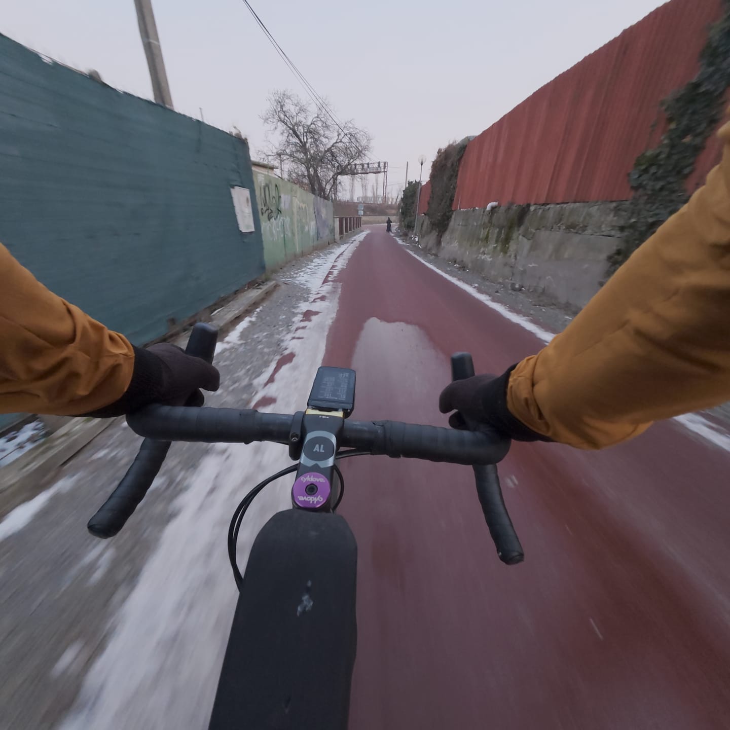 Customer photo review of Osmo D-Log M LUTs