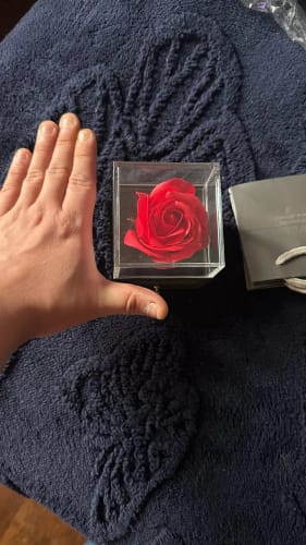 Customer photo review of „Ewige Liebe“ – Rosenbox mit Herzkette ❤️
