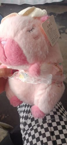 Customer photo review of Beachwear Capybara Plush Toy