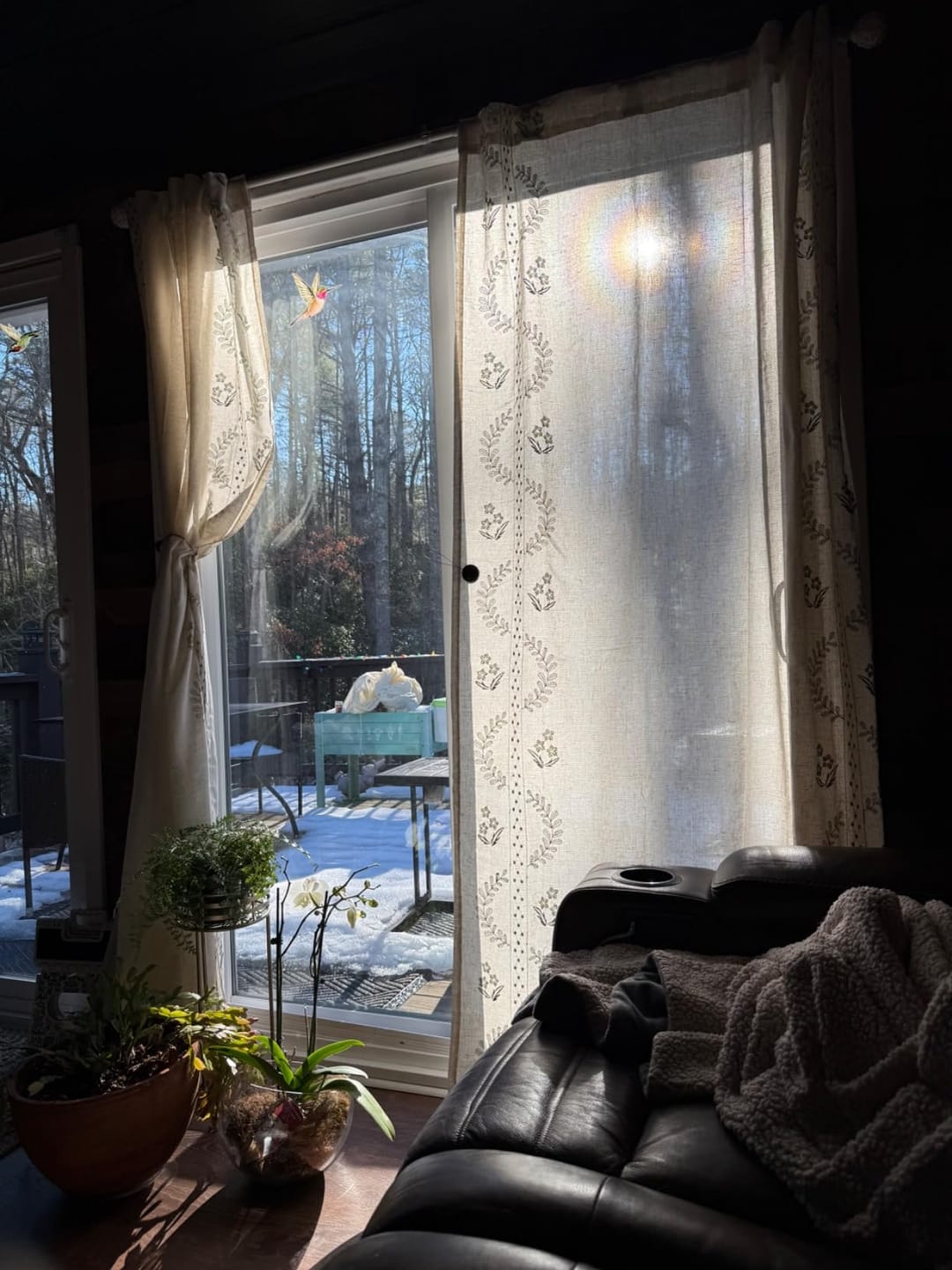 Customer photo review of Vintage Lined Embroidered Botanical Border Curtains