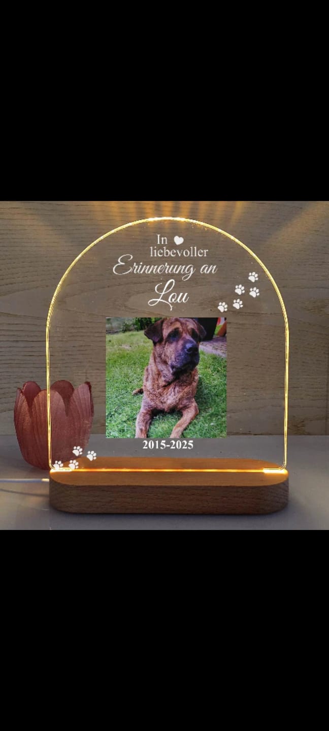 Customer photo review of Zur liebevollen Erinnerung – LED-Lampe für Hund/Katze
