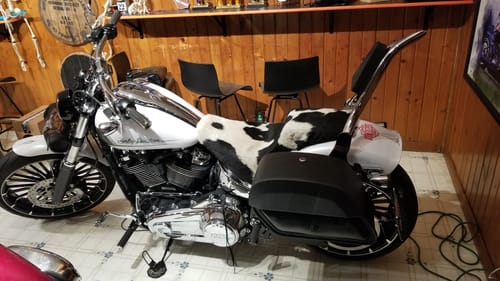 Customer photo review of 28L - Pantheon Medium Quick Mount Harley Softail Breakout FXBR/S Motorcycle Saddlebags
