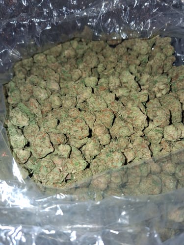 Customer photo review of Thin Mintz Littles - Bulk Littles- Hybrid