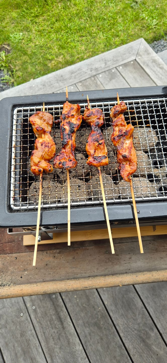 Customer photo review of Hibachi Tabletop BBQ Grill With Skewer Rack - Rectangle