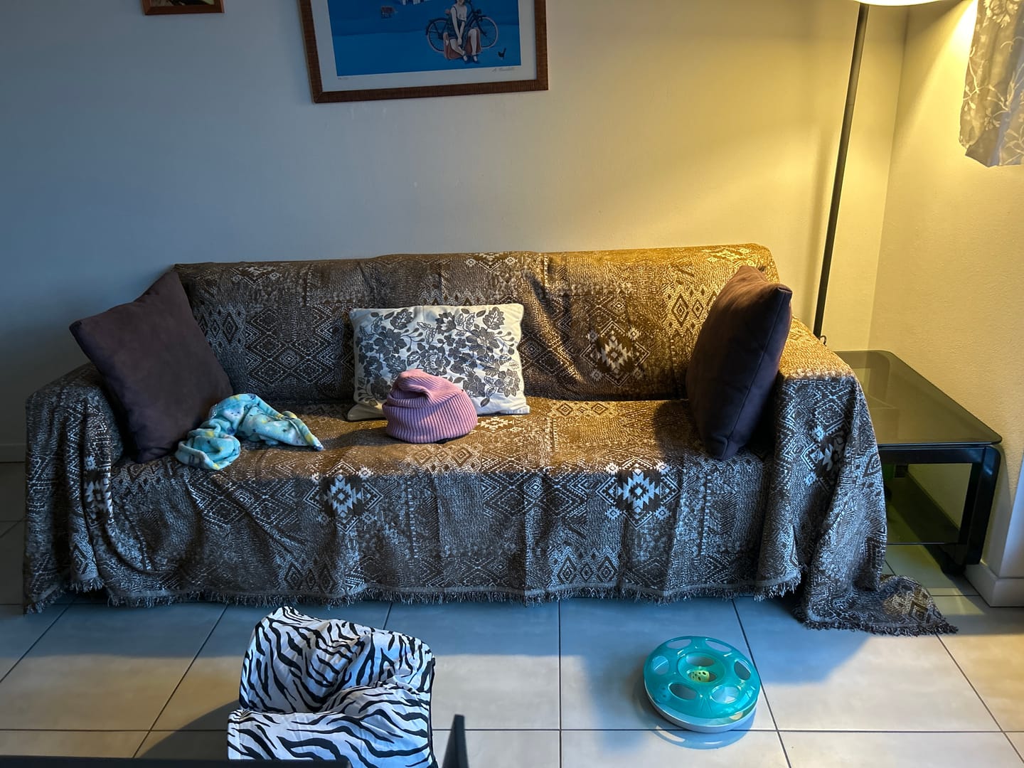Customer photo review of Pet Couch Covers