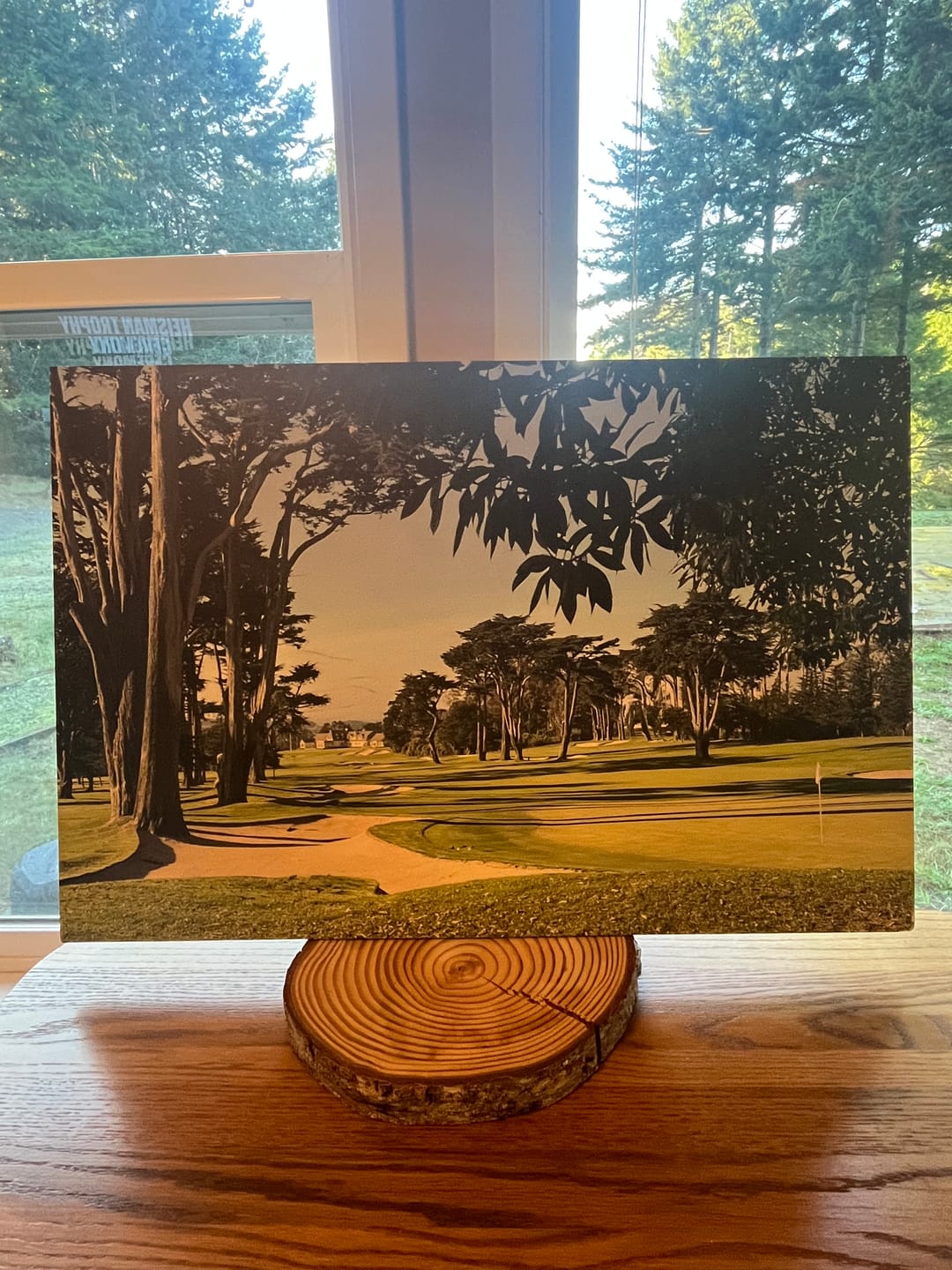 Customer photo review of 18.5 x 27.5 Wood Print