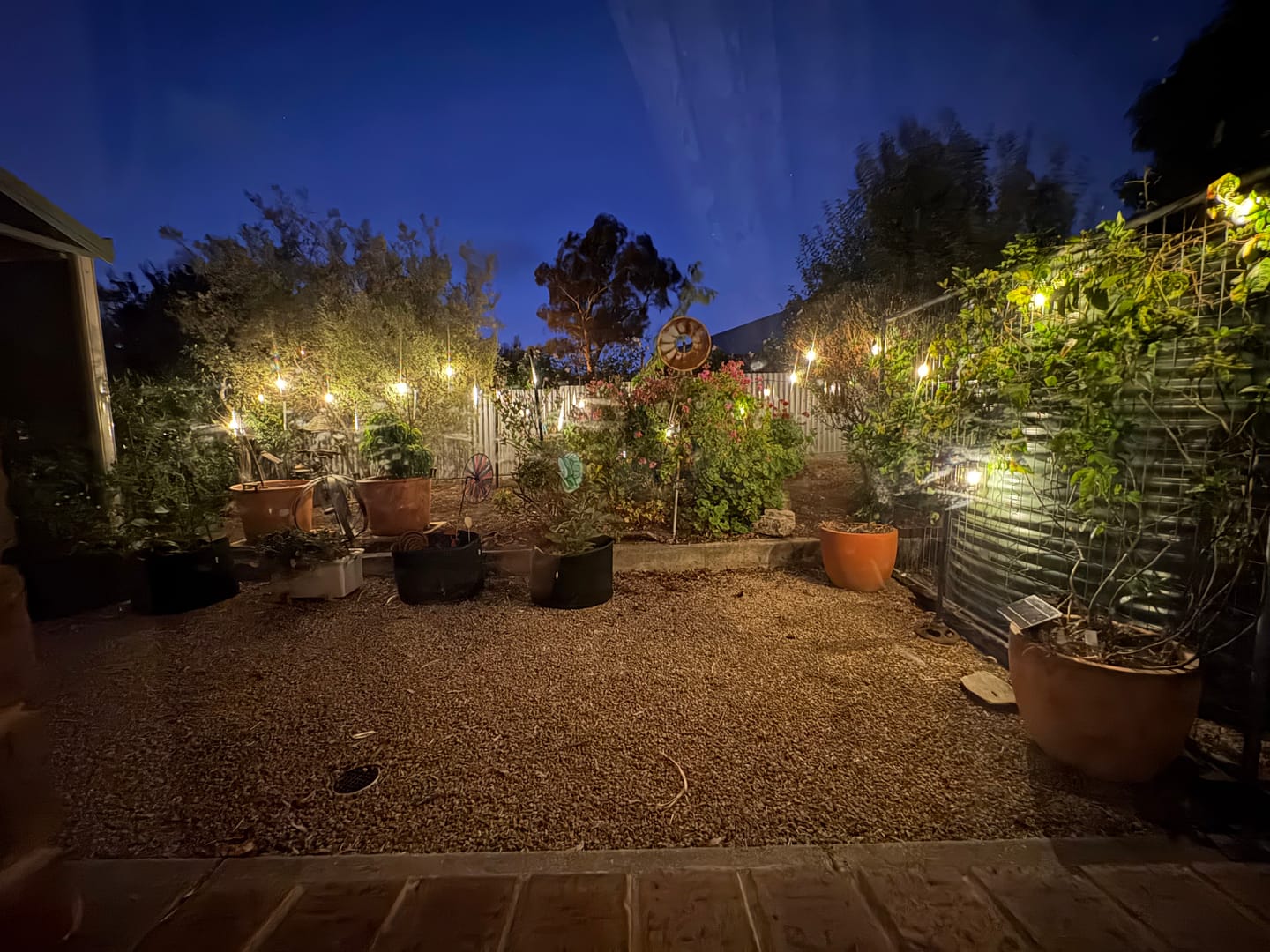 Customer photo review of SolaGarden™ Festoon Lights