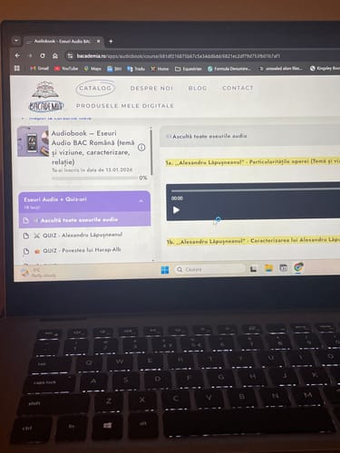 Recenzie cu fotografie de la un client despre Audiobook – Eseuri Audio BAC Română (temă și viziune, caracterizare, relație) + Quiz-uri