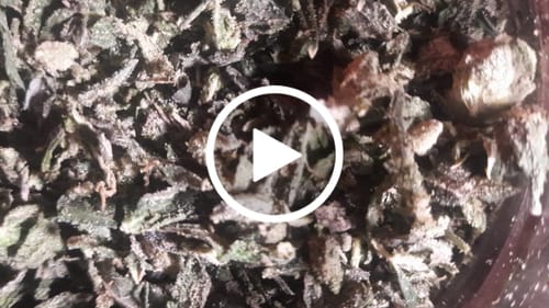 Customer video review of Bulk Indoor Trim