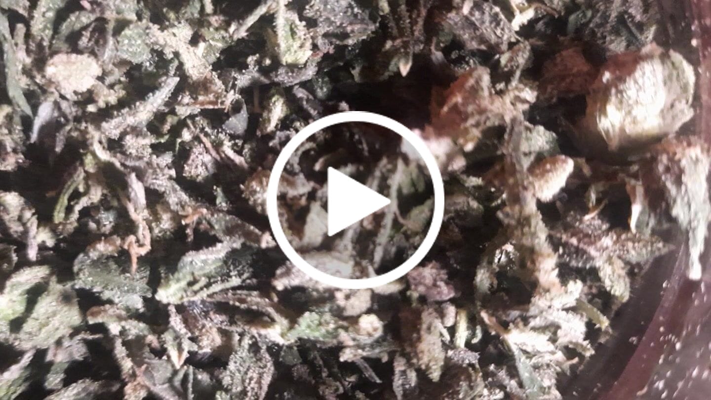 Customer video review of Bulk Indoor Trim