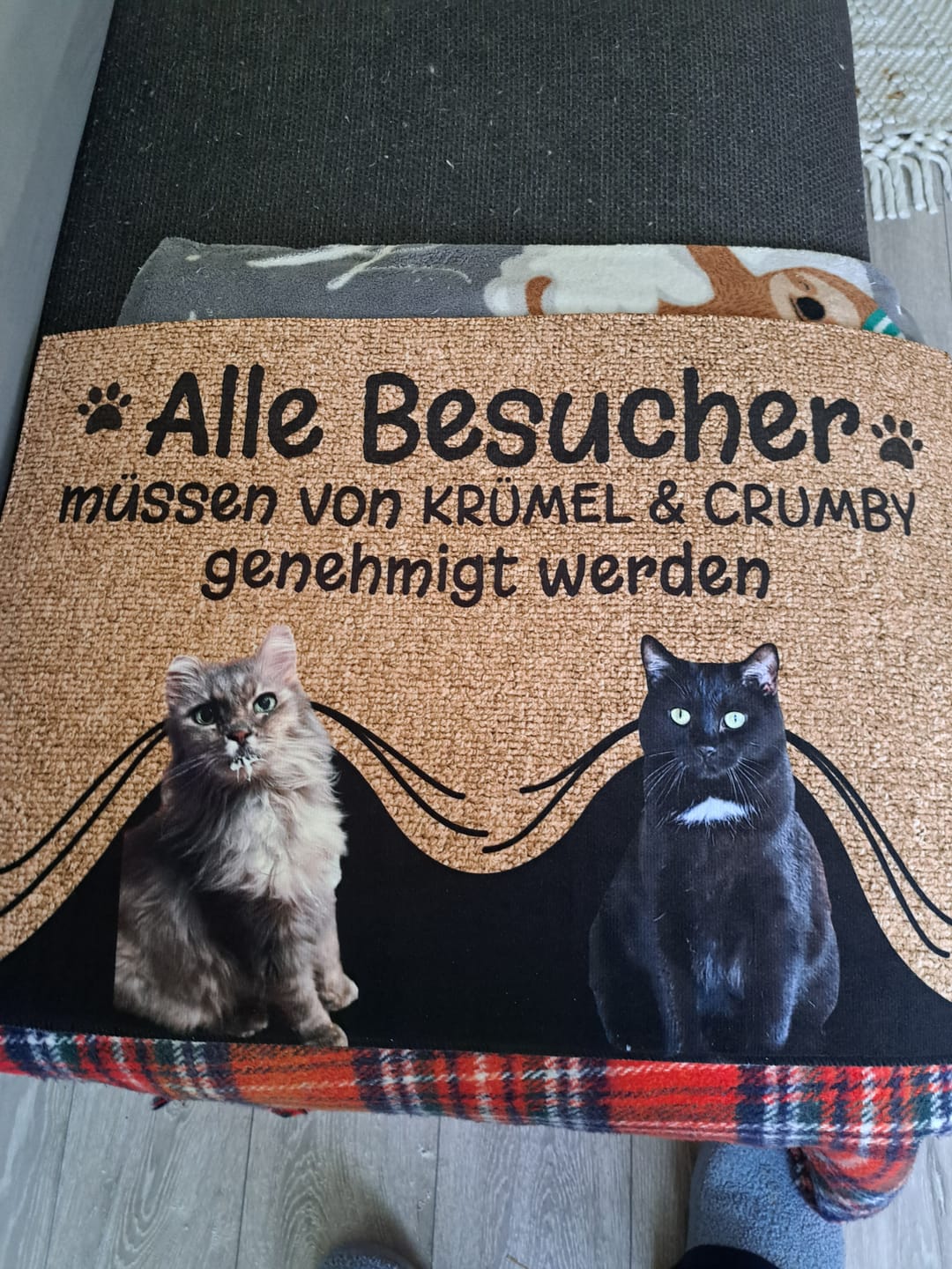 Customer photo review of Besuch genehmigt - Individuelle Fußmatte