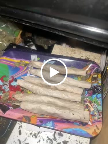 Customer video review of Greenhouse Smalls