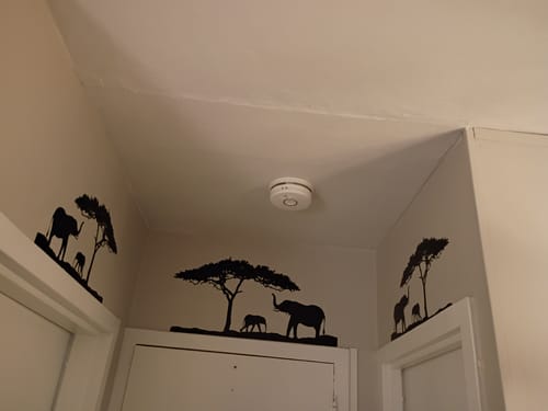 Customer's room showing three black Great Tree and Elephant Family Decals applied on the walls above doorways.