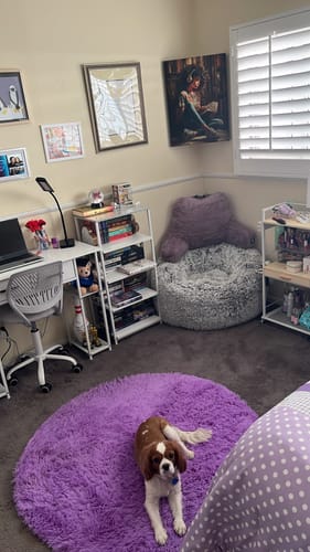 Customer photo review of Acoustic Quiet