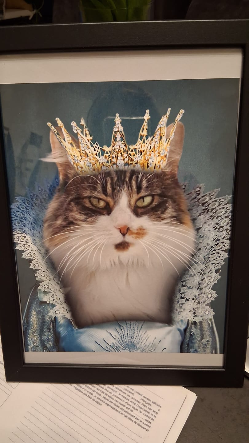 Customer photo review of La Princesse Bleue