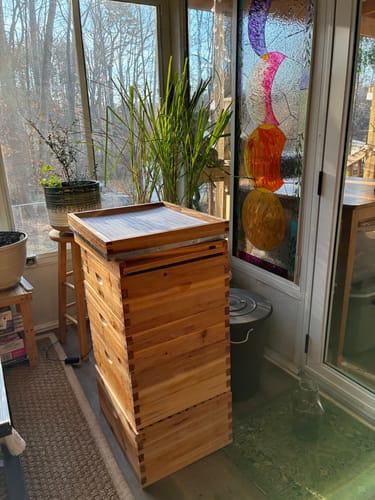 Customer photo review of MayBee Hives 10 Frame 4 Layer Cedar Wood Beehive Dipped in 100% Beeswax, Include 2 Deep Bee Boxes 2 Medium Super Bee Boxes with Pine Wooden Frames and Beeswax Plastic Foundation,Complete beehive kits