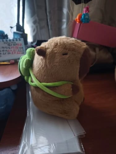 Customer photo review of Capybara Plush With Turtle Backpack