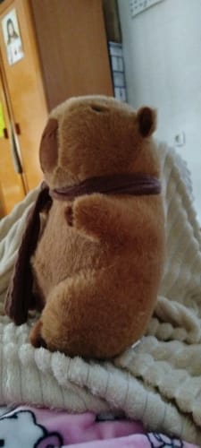 Customer photo review of Scarf Capybara Plush Doll