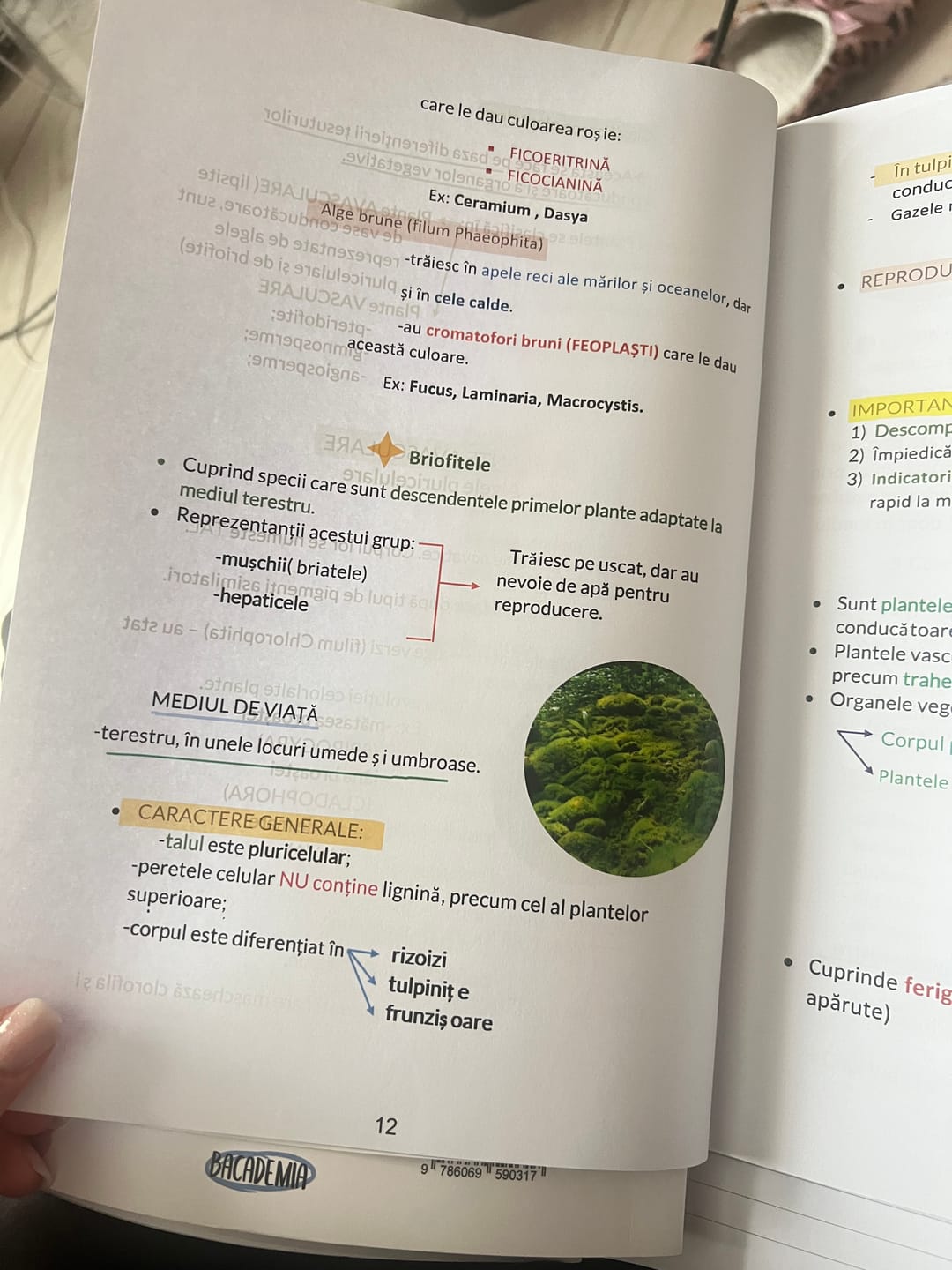 Customer photo review of Pachet Bacalaureat (Română + Biologie vegetală și animală clasele IX-X) Bacademia