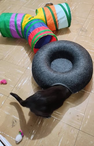 Customer photo review of CT2609 1 Pieza De Cama En Forma De Dona Para Mascota